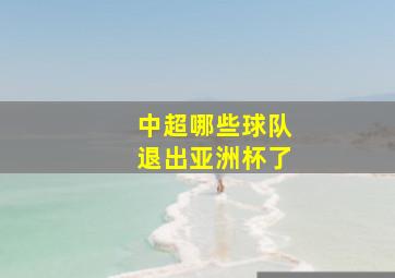 中超哪些球队退出亚洲杯了