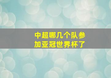 中超哪几个队参加亚冠世界杯了