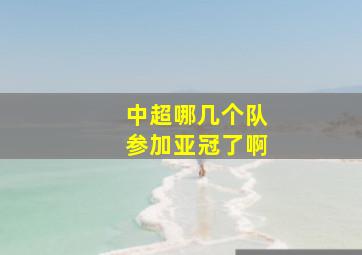 中超哪几个队参加亚冠了啊