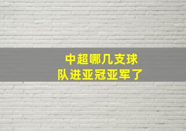 中超哪几支球队进亚冠亚军了