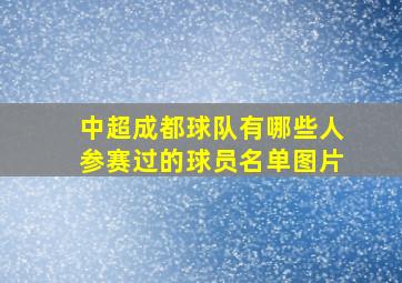 中超成都球队有哪些人参赛过的球员名单图片