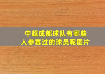 中超成都球队有哪些人参赛过的球员呢图片