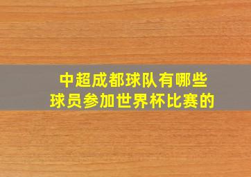 中超成都球队有哪些球员参加世界杯比赛的