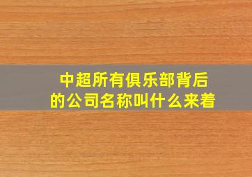 中超所有俱乐部背后的公司名称叫什么来着