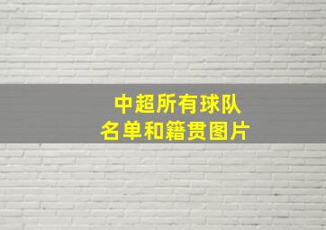 中超所有球队名单和籍贯图片