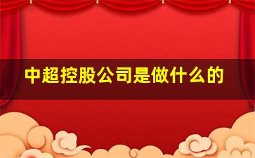 中超控股公司是做什么的