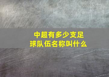 中超有多少支足球队伍名称叫什么