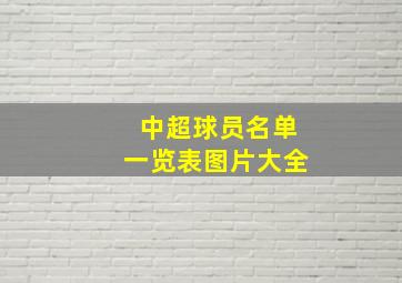 中超球员名单一览表图片大全