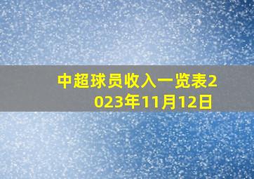 中超球员收入一览表2023年11月12日