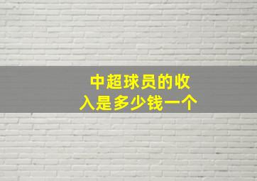 中超球员的收入是多少钱一个