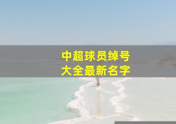 中超球员绰号大全最新名字