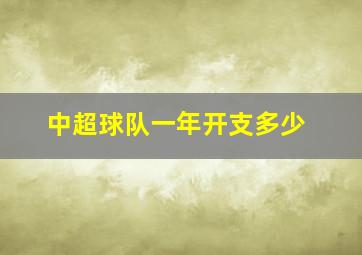 中超球队一年开支多少