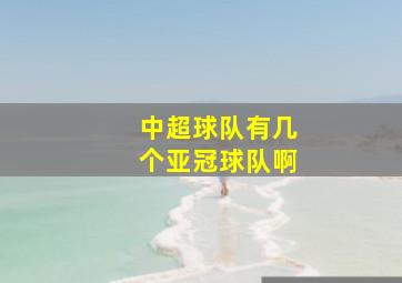 中超球队有几个亚冠球队啊