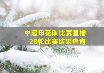 中超申花队比赛直播28轮比赛结果查询