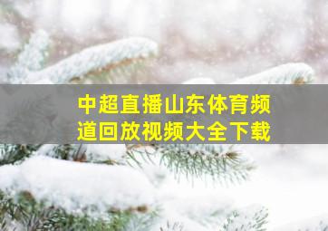 中超直播山东体育频道回放视频大全下载