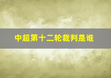 中超第十二轮裁判是谁