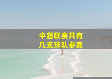 中超联赛共有几支球队参赛