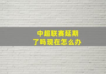 中超联赛延期了吗现在怎么办