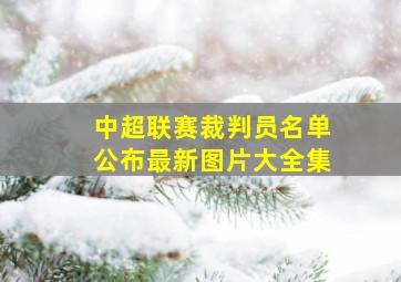 中超联赛裁判员名单公布最新图片大全集