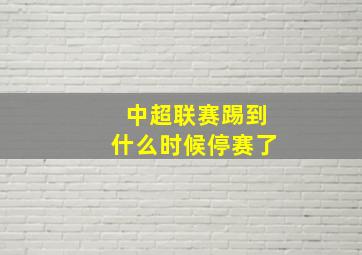 中超联赛踢到什么时候停赛了