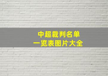 中超裁判名单一览表图片大全