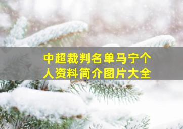 中超裁判名单马宁个人资料简介图片大全