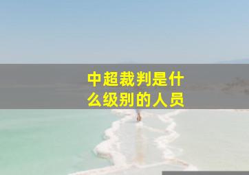 中超裁判是什么级别的人员