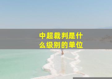 中超裁判是什么级别的单位