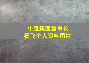 中超集团董事长杨飞个人资料图片