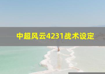 中超风云4231战术设定