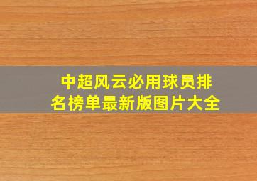 中超风云必用球员排名榜单最新版图片大全