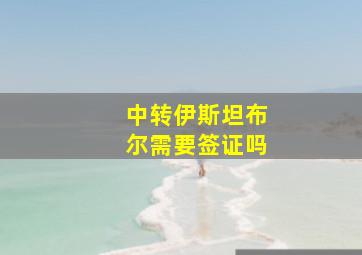 中转伊斯坦布尔需要签证吗