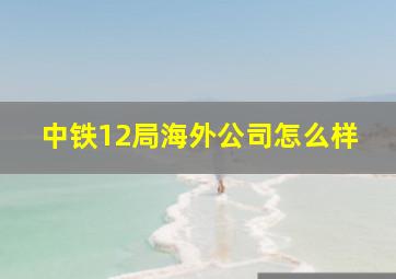 中铁12局海外公司怎么样