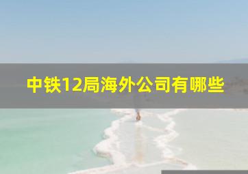 中铁12局海外公司有哪些