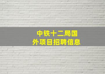 中铁十二局国外项目招聘信息