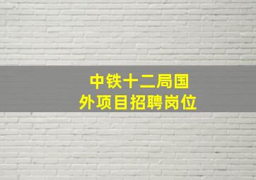 中铁十二局国外项目招聘岗位