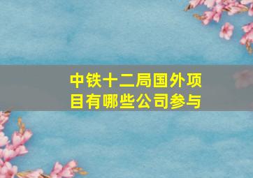 中铁十二局国外项目有哪些公司参与