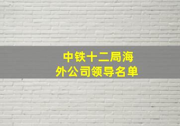 中铁十二局海外公司领导名单