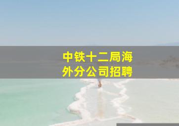 中铁十二局海外分公司招聘