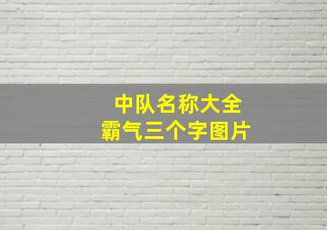 中队名称大全霸气三个字图片