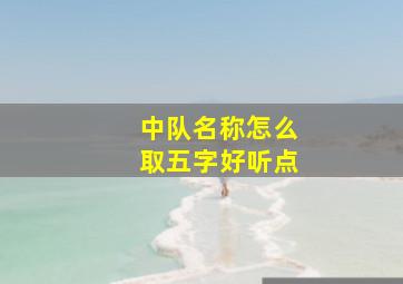 中队名称怎么取五字好听点