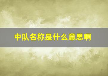 中队名称是什么意思啊