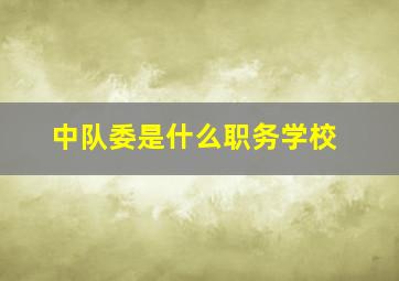 中队委是什么职务学校