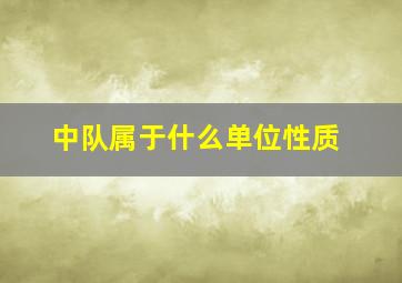 中队属于什么单位性质