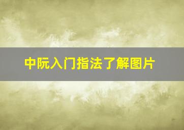 中阮入门指法了解图片