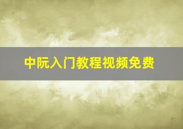 中阮入门教程视频免费