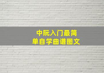 中阮入门最简单自学曲谱图文