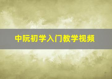 中阮初学入门教学视频