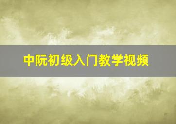 中阮初级入门教学视频