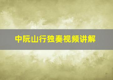 中阮山行独奏视频讲解